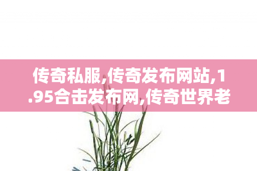 传奇私服,传奇发布网站,1.95合击发布网,传奇世界老版本客户端,1.95合击发布网