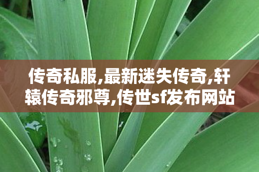 传奇私服,最新迷失传奇,轩辕传奇邪尊,传世sf发布网站,轩辕传奇邪尊