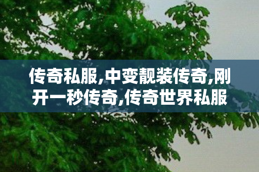 传奇私服,中变靓装传奇,刚开一秒传奇,传奇世界私服发布网新开服发布吧,刚开一秒传奇