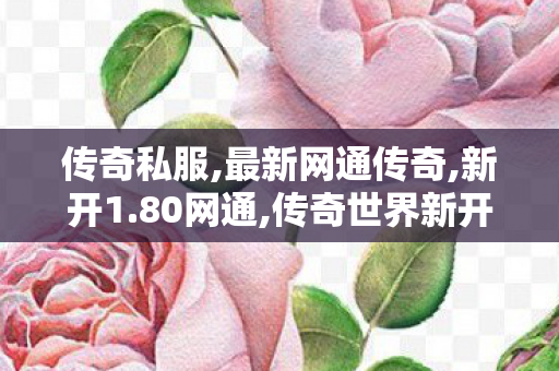 传奇私服,最新网通传奇,新开1.80网通,传奇世界新开私服,新开1.80网通