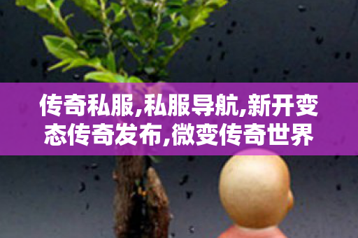 传奇私服,私服导航,新开变态传奇发布,微变传奇世界私服网站,新开变态传奇发布