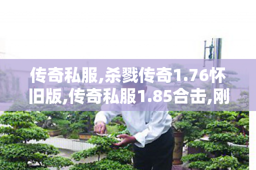 传奇私服,杀戮传奇1.76怀旧版,传奇私服1.85合击,刚开一秒传世,传奇私服1.85合击