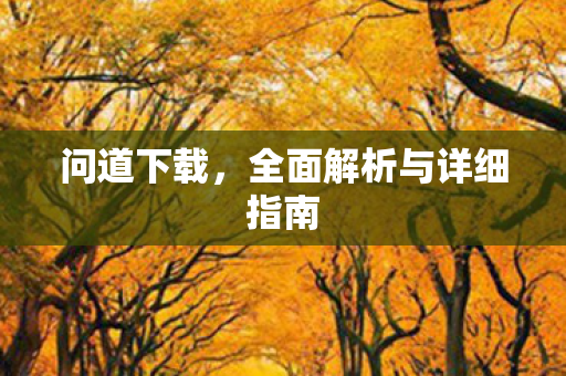 问道下载，全面解析与详细指南
