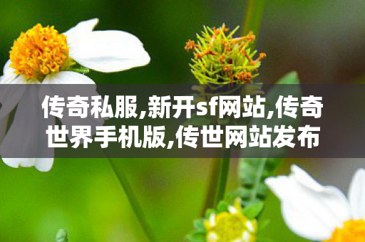 传奇私服,新开sf网站,传奇世界手机版,传世网站发布网,传奇世界手机版