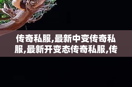 传奇私服,最新中变传奇私服,最新开变态传奇私服,传奇私服无赦,最新开变态传奇私服