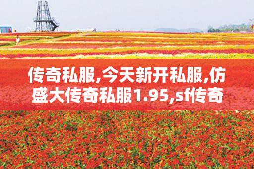 传奇私服,今天新开私服,仿盛大传奇私服1.95,sf传奇发布网站,仿盛大传奇私服1.95