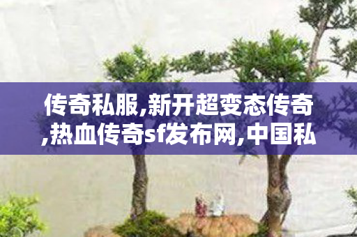 传奇私服,新开超变态传奇,热血传奇sf发布网,中国私服,热血传奇sf发布网