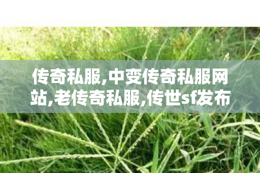 传奇私服,中变传奇私服网站,老传奇私服,传世sf发布站,老传奇私服