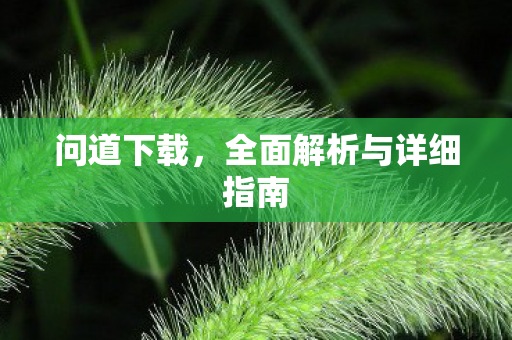 问道下载，全面解析与详细指南