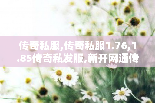 传奇私服,传奇私服1.76,1.85传奇私发服,新开网通传世私服,1.85传奇私发服