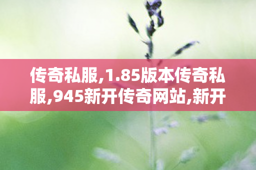 传奇私服,1.85版本传奇私服,945新开传奇网站,新开传奇私服三端互通,945新开传奇网站