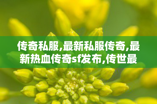 传奇私服,最新私服传奇,最新热血传奇sf发布,传世最新sf,最新热血传奇sf发布