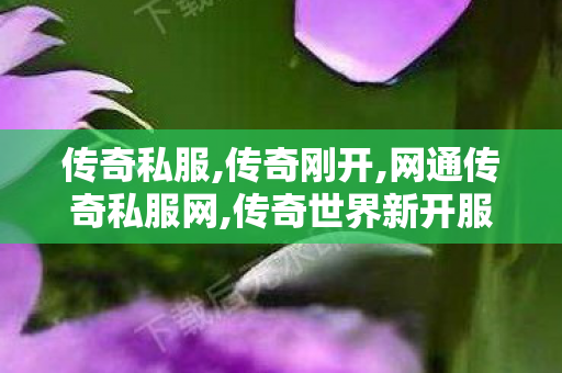 传奇私服,传奇刚开,网通传奇私服网,传奇世界新开服,网通传奇私服网