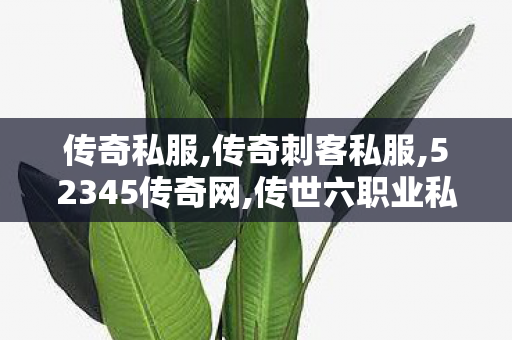 传奇私服,传奇刺客私服,52345传奇网,传世六职业私服,52345传奇网