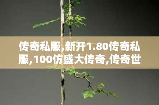 传奇私服,新开1.80传奇私服,100仿盛大传奇,传奇世界新开私服,100仿盛大传奇