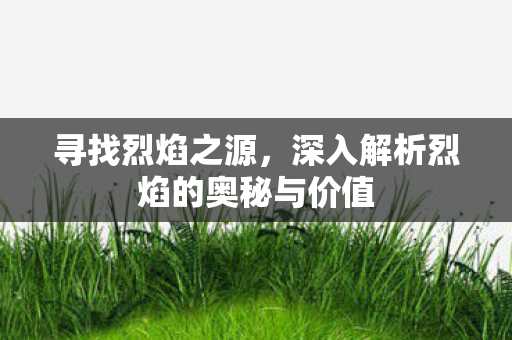 寻找烈焰之源，深入解析烈焰的奥秘与价值