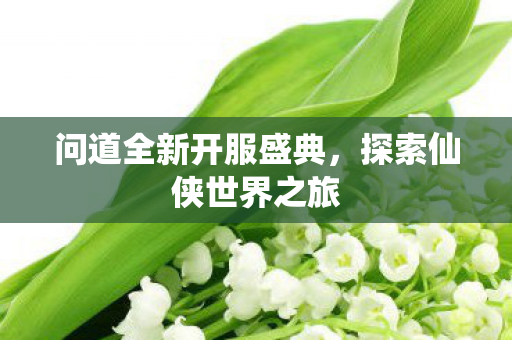 问道全新开服盛典，探索仙侠世界之旅