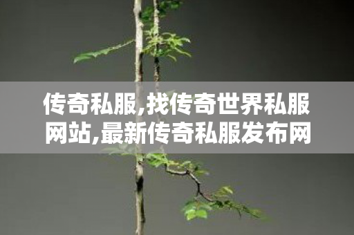 传奇私服,找传奇世界私服网站,最新传奇私服发布网站,单职业传奇私服,最新传奇私服发布网站