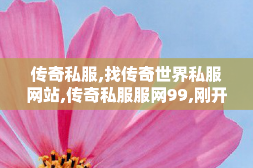 传奇私服,找传奇世界私服网站,传奇私服服网99,刚开一秒中变传奇发布网,传奇私服服网99
