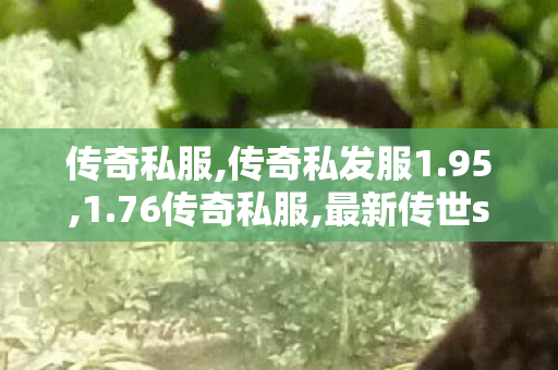 传奇私服,传奇私发服1.95,1.76传奇私服,最新传世sf发布网,1.76传奇私服