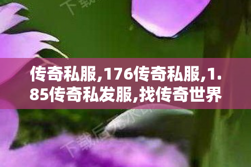 传奇私服,176传奇私服,1.85传奇私发服,找传奇世界私服发布网站,1.85传奇私发服