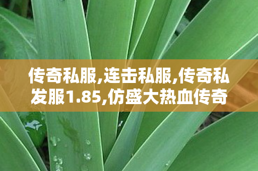 传奇私服,连击私服,传奇私发服1.85,仿盛大热血传奇,传奇私发服1.85