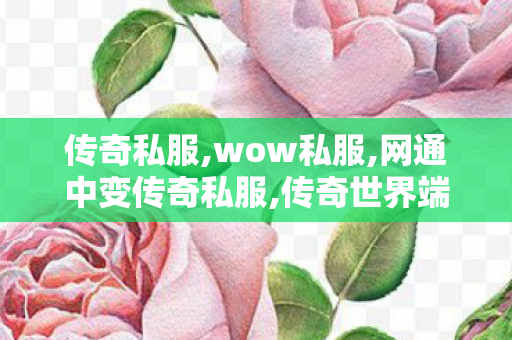 传奇私服,wow私服,网通中变传奇私服,传奇世界端游私服,网通中变传奇私服