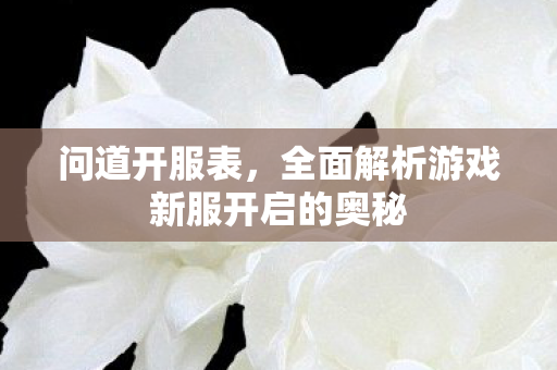 问道开服表，全面解析游戏新服开启的奥秘