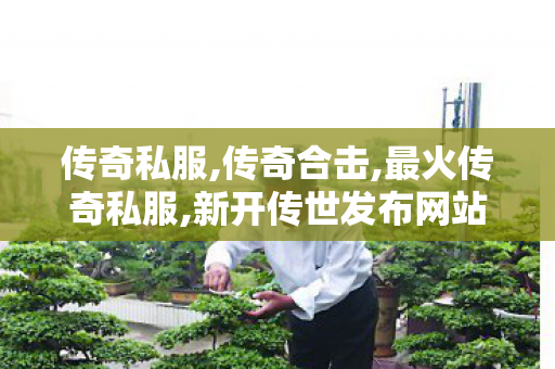 传奇私服,传奇合击,最火传奇私服,新开传世发布网站,最火传奇私服