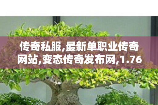 传奇私服,最新单职业传奇网站,变态传奇发布网,1.76传奇,变态传奇发布网