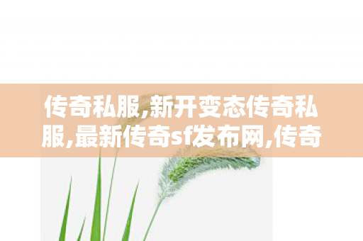传奇私服,新开变态传奇私服,最新传奇sf发布网,传奇私服网通,最新传奇sf发布网