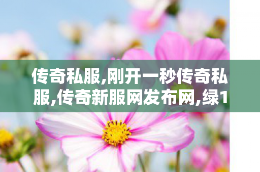 传奇私服,刚开一秒传奇私服,传奇新服网发布网,绿1传奇私服,传奇新服网发布网