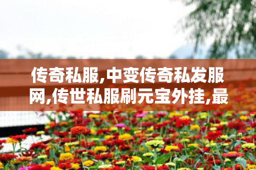 传奇私服,中变传奇私发服网,传世私服刷元宝外挂,最新传奇sf发布网站,传世私服刷元宝外挂