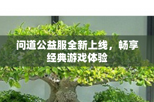 问道公益服全新上线，畅享经典游戏体验