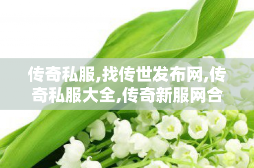 传奇私服,找传世发布网,传奇私服大全,传奇新服网合击,传奇私服大全