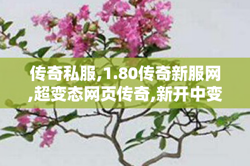 传奇私服,1.80传奇新服网,超变态网页传奇,新开中变传奇私服,超变态网页传奇