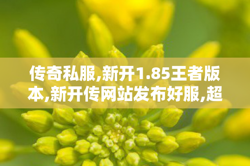 传奇私服,新开1.85王者版本,新开传网站发布好服,超变私服发布网,新开传网站发布好服