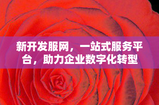 新开发服网，一站式服务平台，助力企业数字化转型