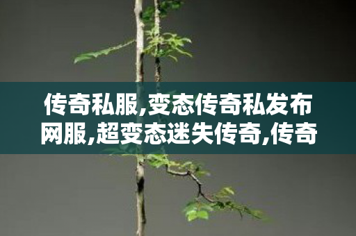 传奇私服,变态传奇私发布网服,超变态迷失传奇,传奇世界私服发布,超变态迷失传奇