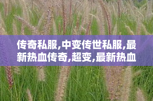 传奇私服,中变传世私服,最新热血传奇,超变,最新热血传奇
