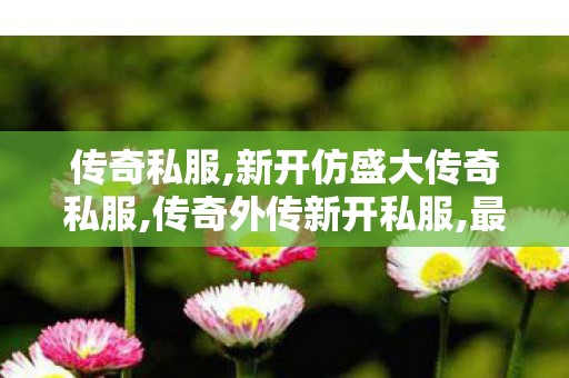 传奇私服,新开仿盛大传奇私服,传奇外传新开私服,最新传奇世界私服,传奇外传新开私服