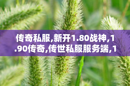 传奇私服,新开1.80战神,1.90传奇,传世私服服务端,1.90传奇
