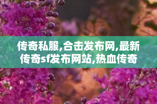 传奇私服,合击发布网,最新传奇sf发布网站,热血传奇3,最新传奇sf发布网站