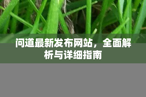 问道最新发布网站，全面解析与详细指南