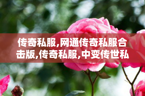 传奇私服,网通传奇私服合击版,传奇私服,中变传世私服,传奇私服