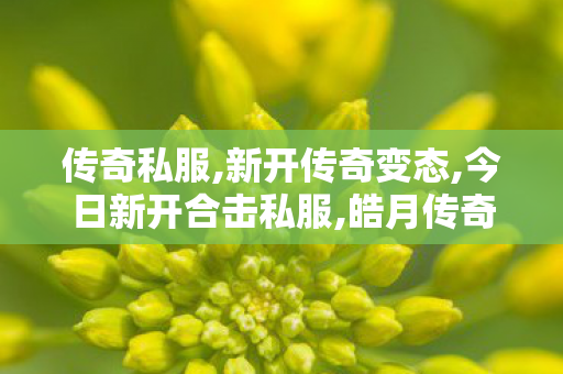 传奇私服,新开传奇变态,今日新开合击私服,皓月传奇1.85,今日新开合击私服