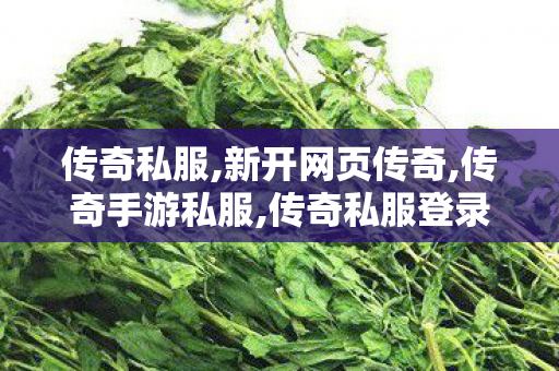 传奇私服,新开网页传奇,传奇手游私服,传奇私服登录器,传奇手游私服