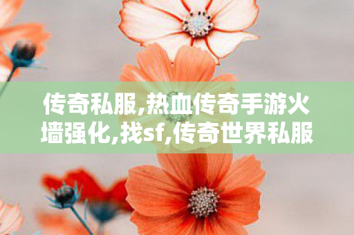 传奇私服,热血传奇手游火墙强化,找sf,传奇世界私服发布,找sf