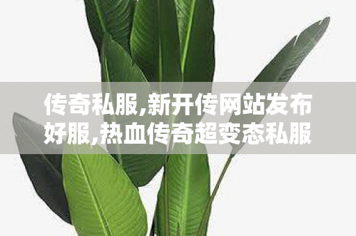 传奇私服,新开传网站发布好服,热血传奇超变态私服,最新开传奇合击,热血传奇超变态私服