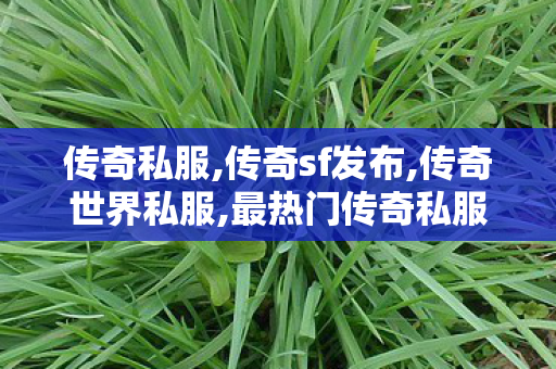 传奇私服,传奇sf发布,传奇世界私服,最热门传奇私服,传奇世界私服